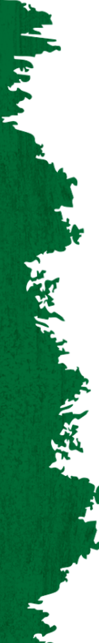 Coffee Background