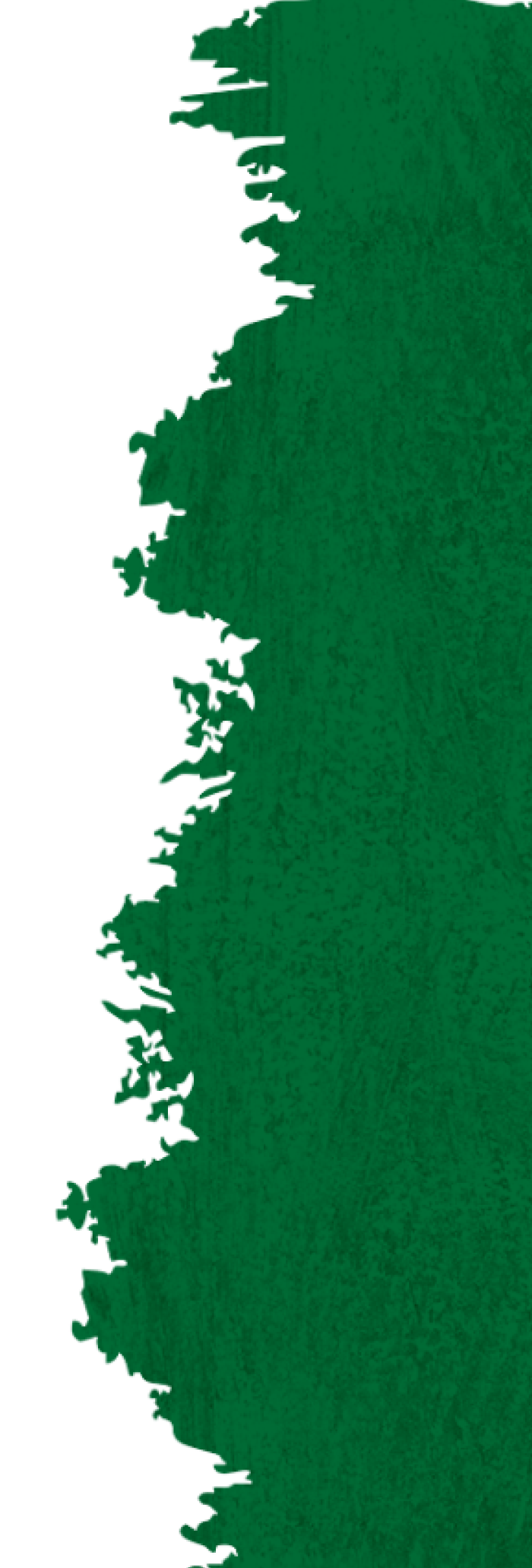 Coffee Background