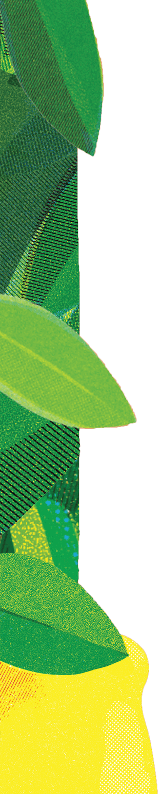 Iced Tea Background