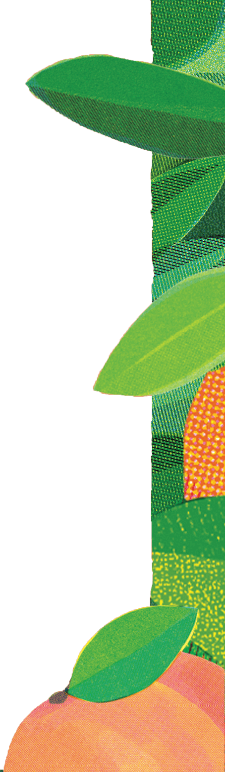 Iced Tea Background